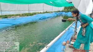 टिहरी के युवा सुभाष रावत ने मत्स्यपालन से लिखी सफलता की कहानी; मछली पालन से दिया रिवर्स माइग्रेशन को जवाब, धामी सरकार की स्वरोजगार योजनाओं से मिली प्रेरणा