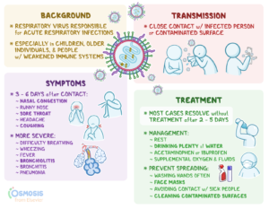 2025 में सबसे ज्यादा सर्च किया गया वायरस HMPV, जानिए क्या हैं लक्षण, फैलाव और बचाव के उपाय!