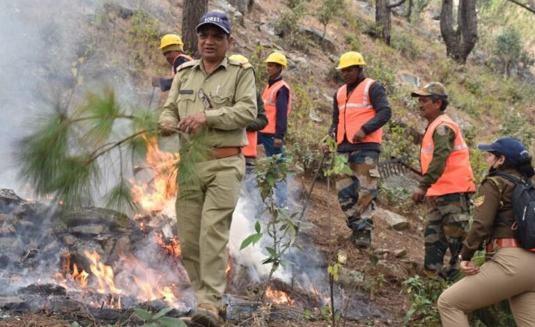 चमोली में माॅक ड्रिल से जांची वनाग्नि सुरक्षा की व्यवस्थाएं